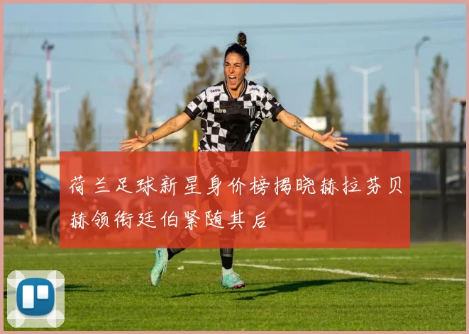 荷兰足球新星身价榜揭晓赫拉芬贝赫领衔廷伯紧随其后